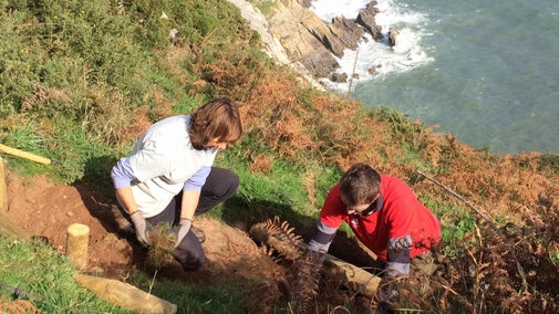 Volunteer rangers repairing steps near Froward Point, Devon